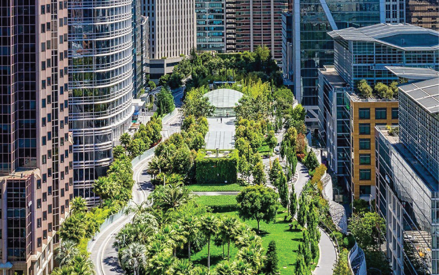 high up park view spera san francisco