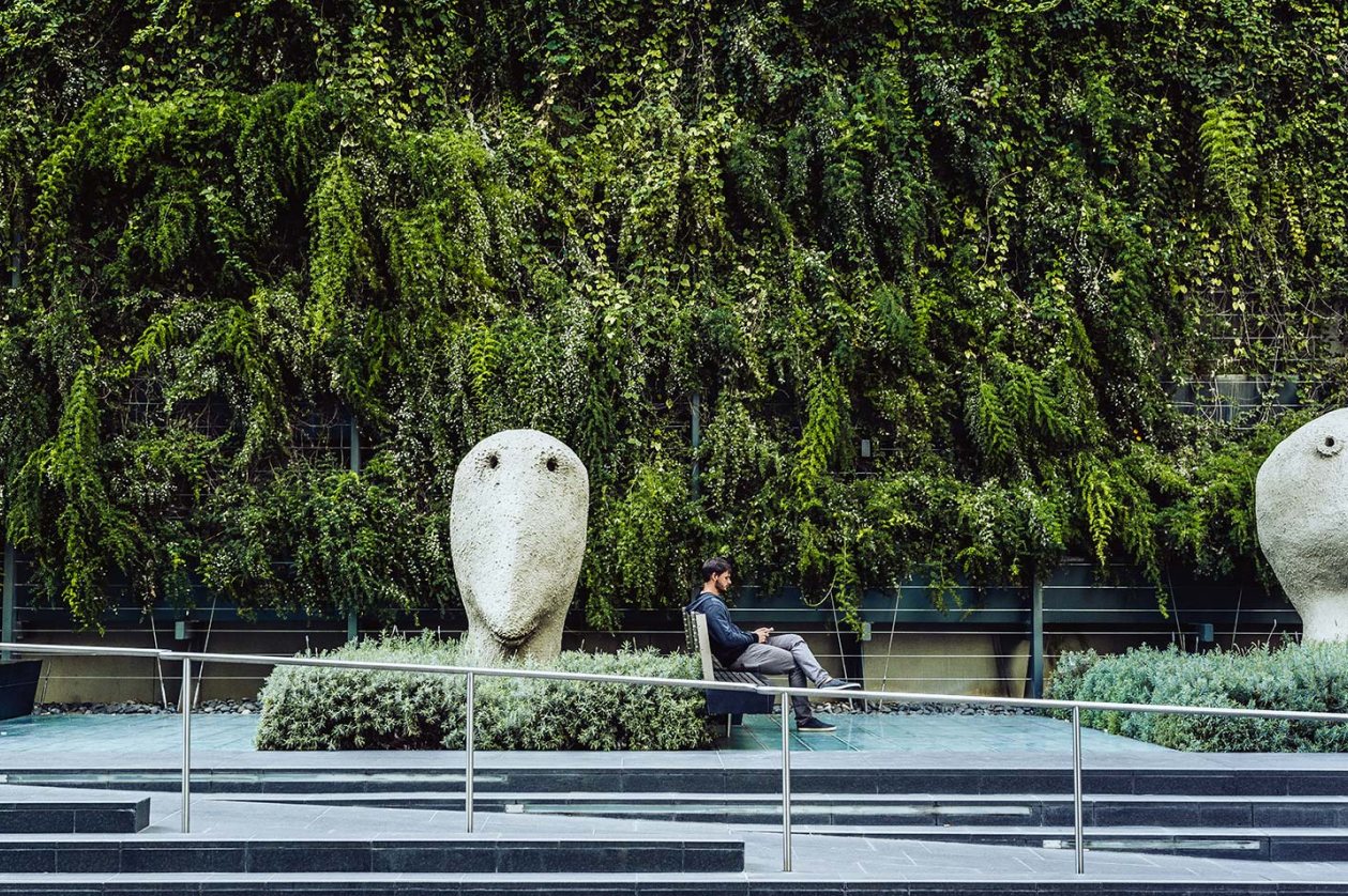 outdoors spera san francisco